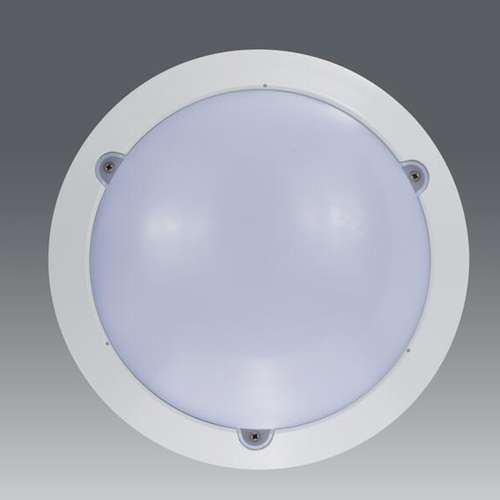 ceiling mounted motion sensor light
