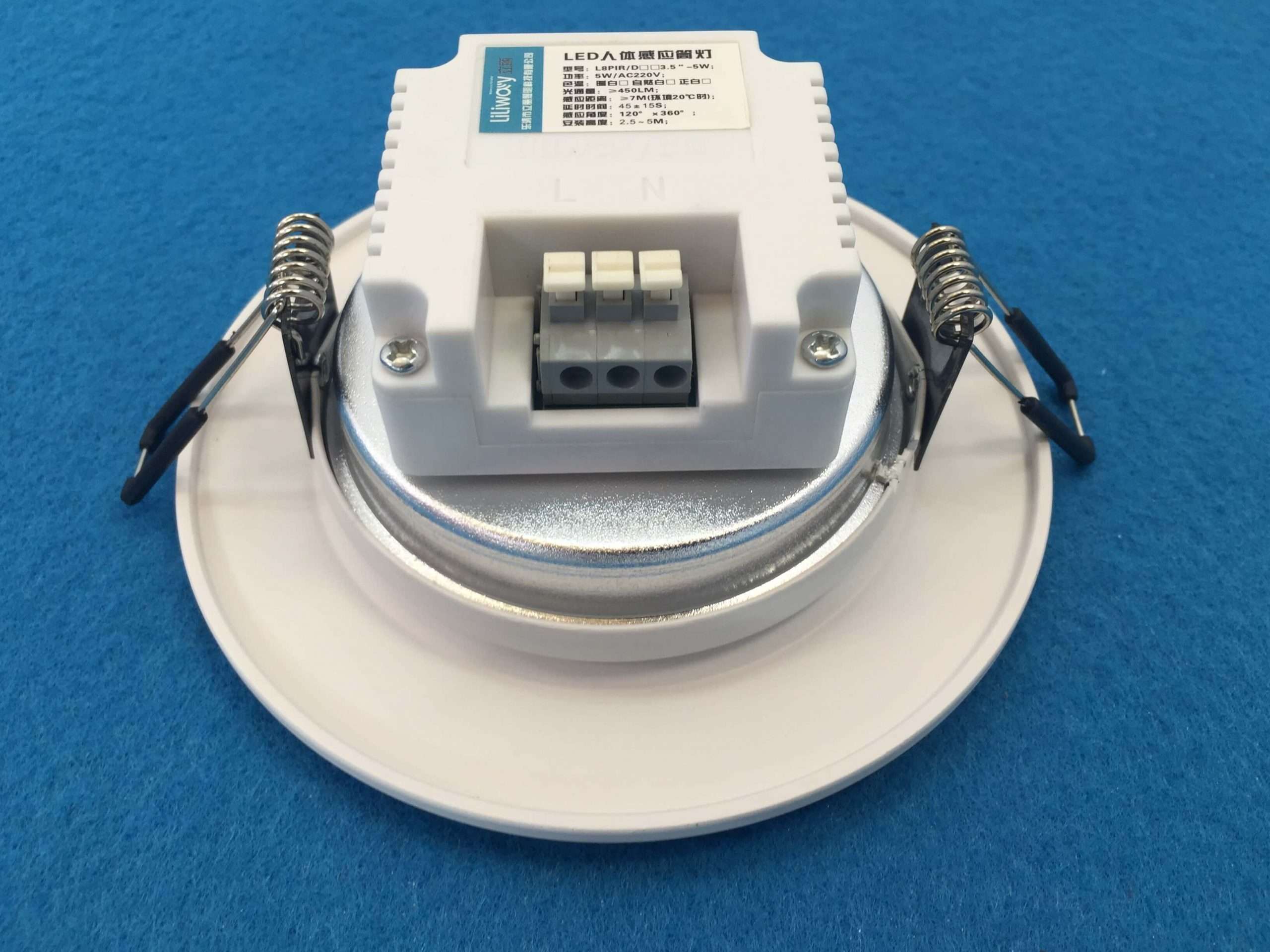 downlight with built in pir